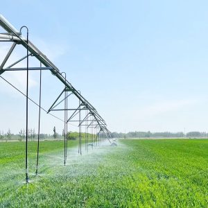 Automated Drip Irrigation System with Built-in Water and Fertilizer Management for Massive-Scale Crop Cultivation