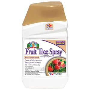 Bonide Captain Jack’s Fruit Tree Spray Focus, 16 oz – Insect and Illness Management for Natural Gardening