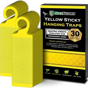 MaxGuard Yellow Sticky Hanging Traps (30 Pack) – Efficient for Catching and Eliminating Fungus Gnats, Whiteflies, Mosquitoes, Aphids, Leaf Miners, and Different Flying Bugs -…